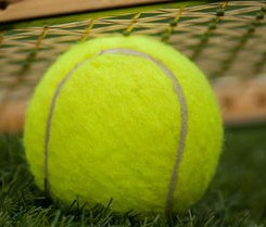 开云官方网站 -科维托娃在TES比赛中问鼎冠军，惊险取胜引发热议！